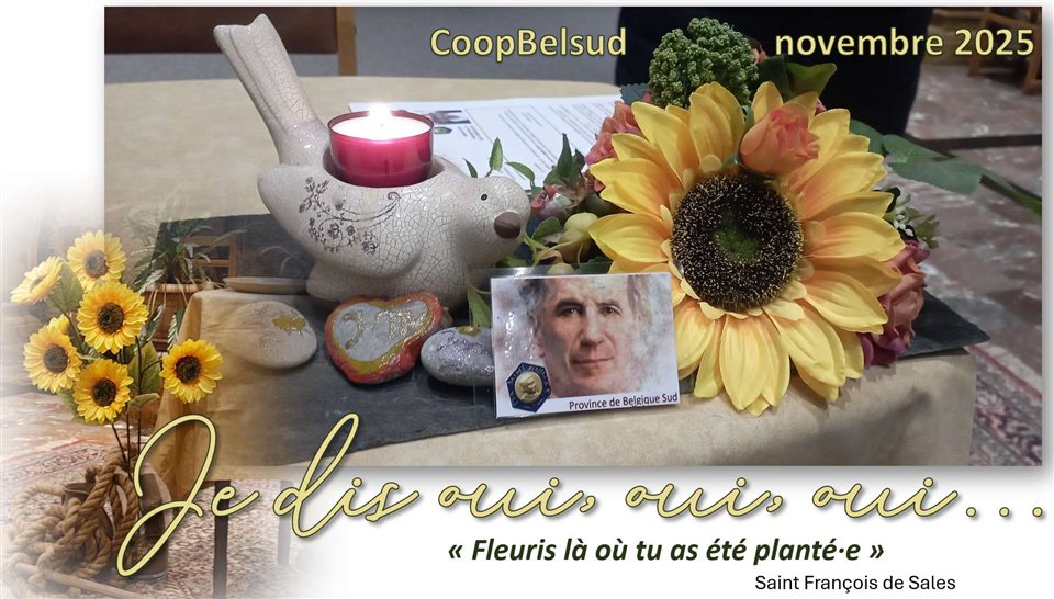 CoopBelsud novembre 2025