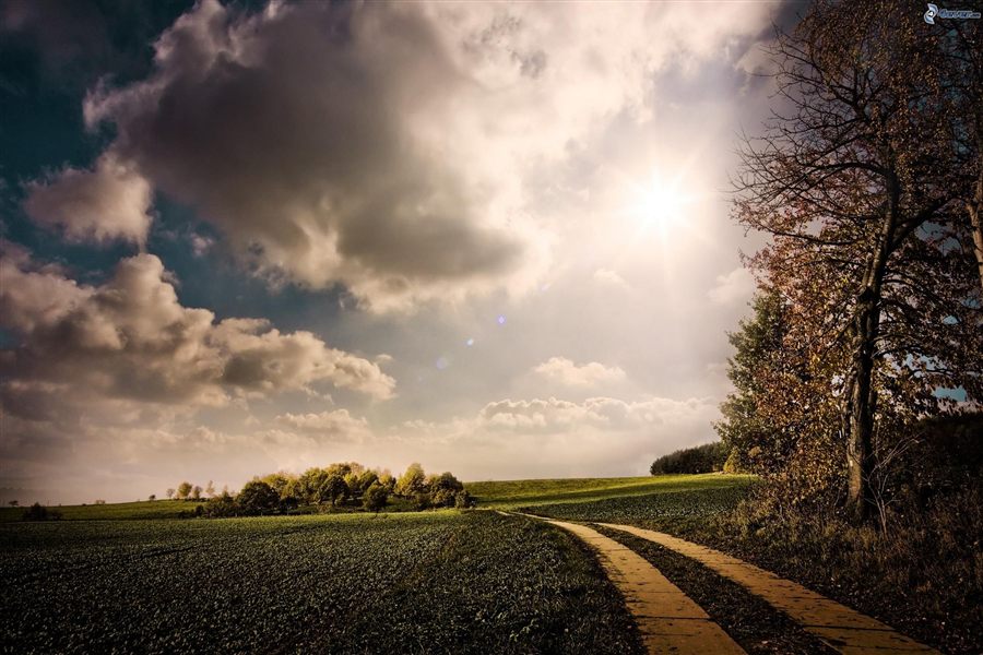 Un chemin dans la lumière